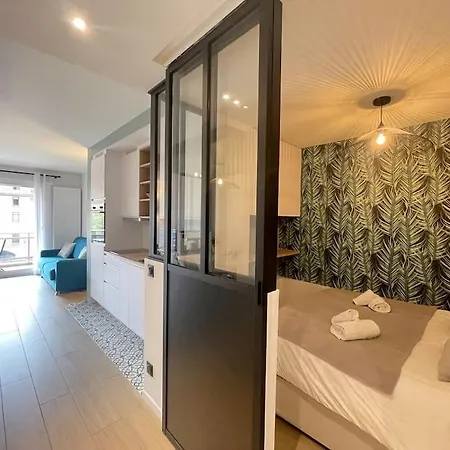 Quai Des Cordeliers, Balcon Et Vieille *
